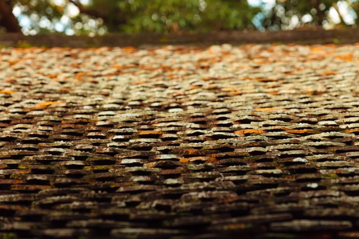 Roof Leak Repair in Oxnard, CA